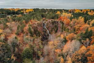 an aerial view of a waterfall surrounded by trees