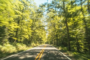 la vue d’une voiture qui descend une route bordée d’arbres