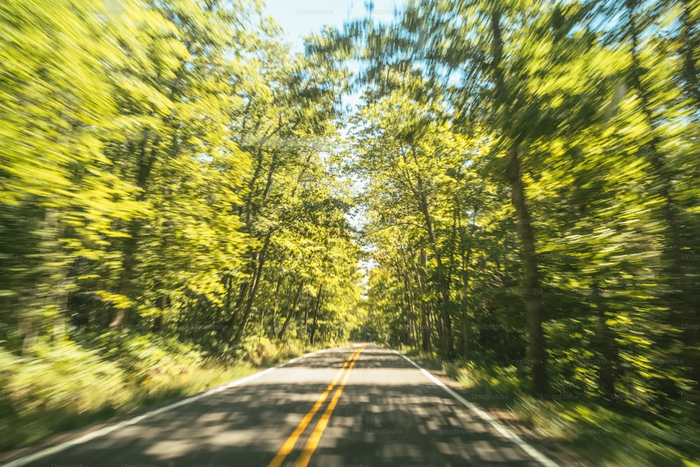 the view from a car driving down a tree lined road