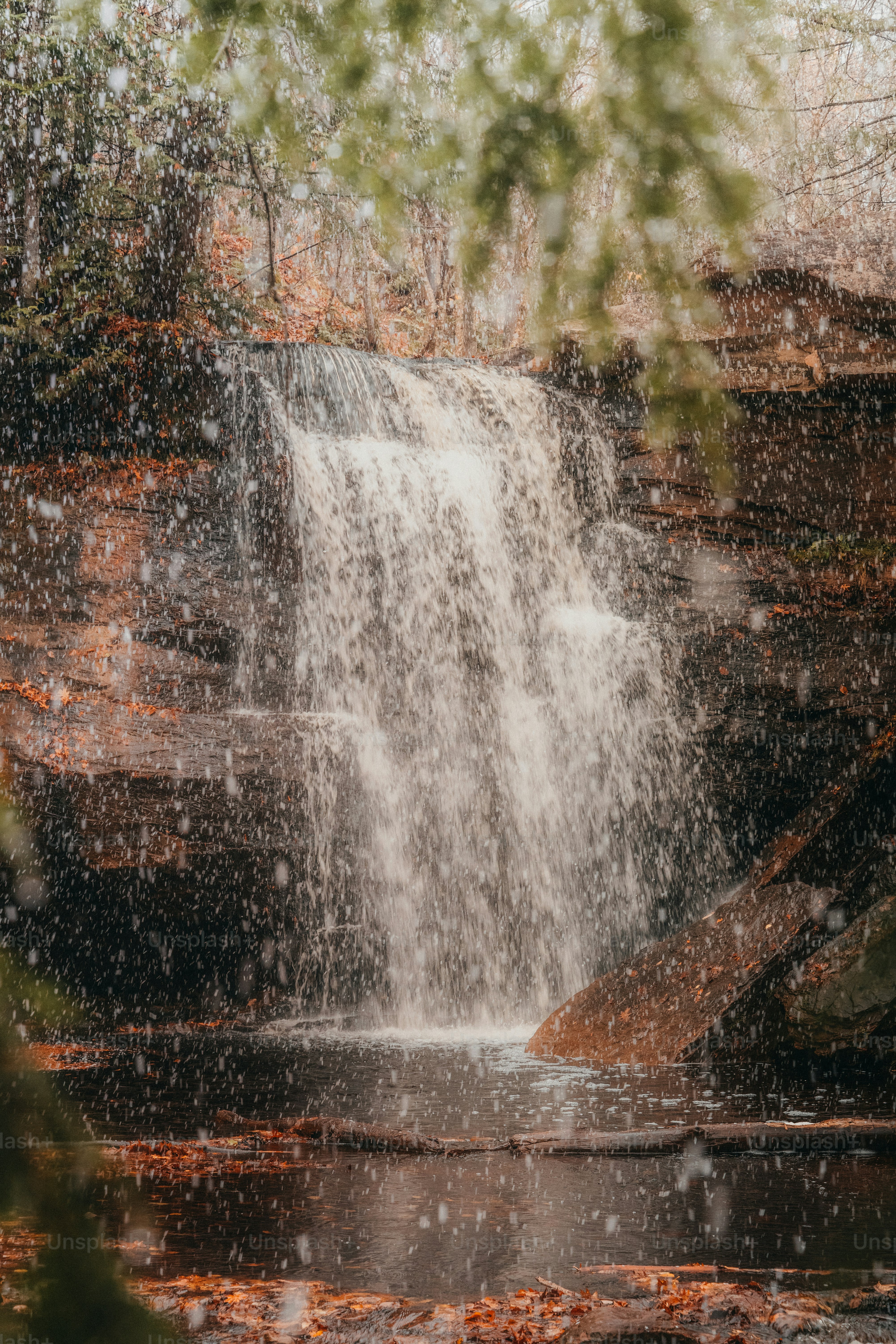a waterfall is seen through the leaves of a tree