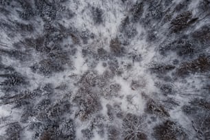 an aerial view of a snow covered forest