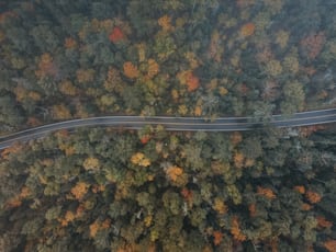 an aerial view of a road in the middle of a forest