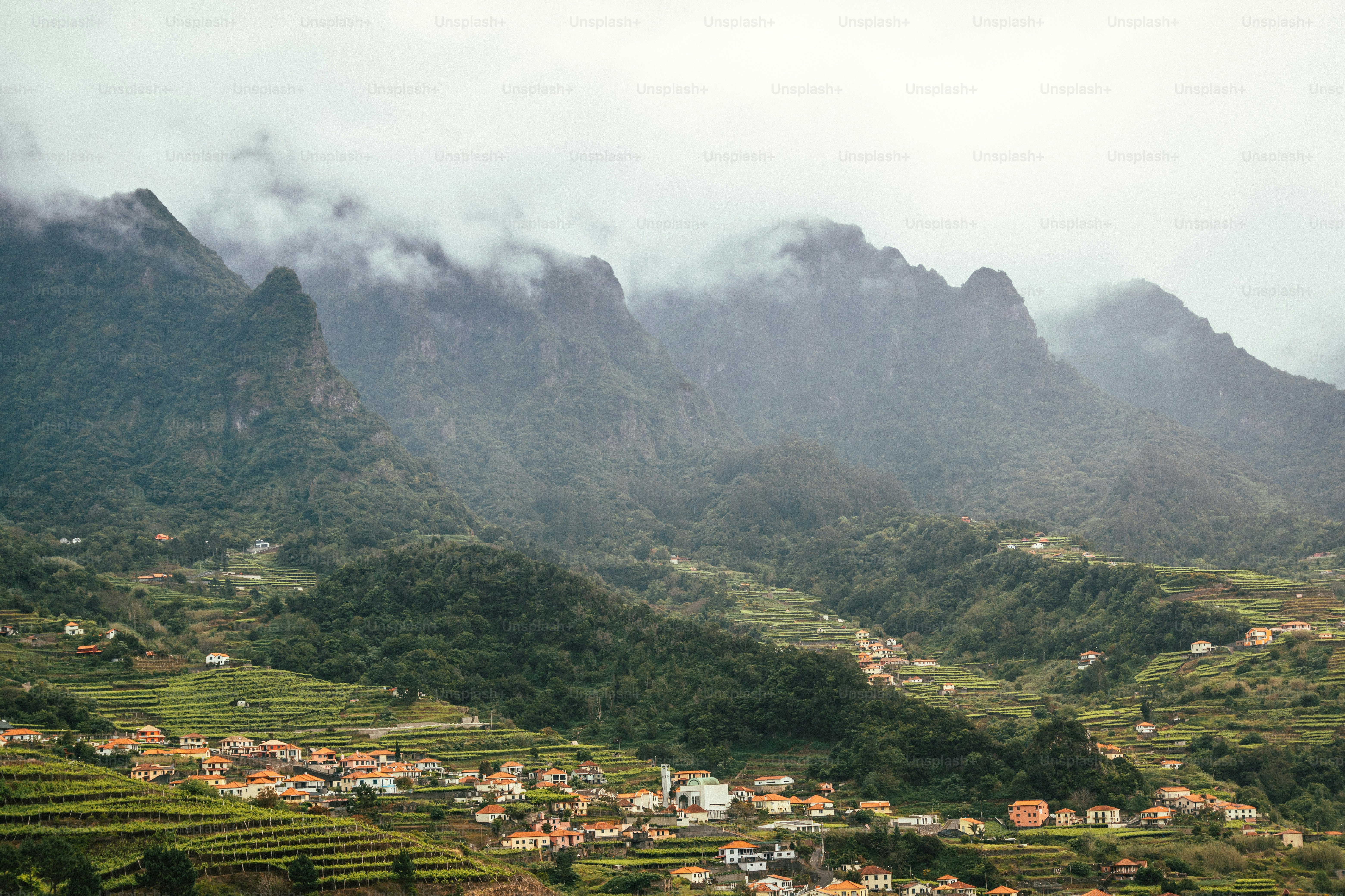 martinique le mont pelee