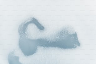 a picture of snow that looks like an elephant