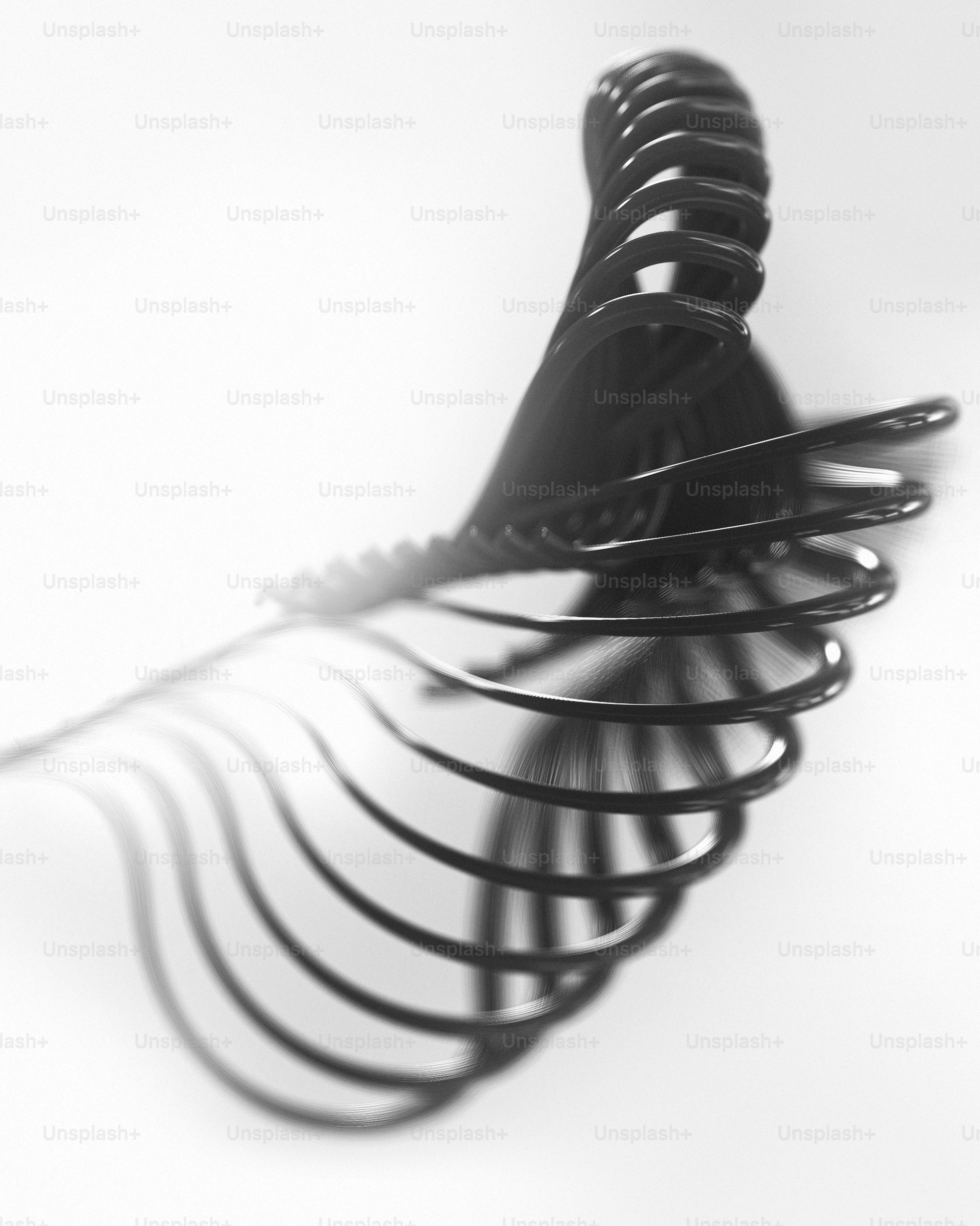 a black and white photo of a leaf