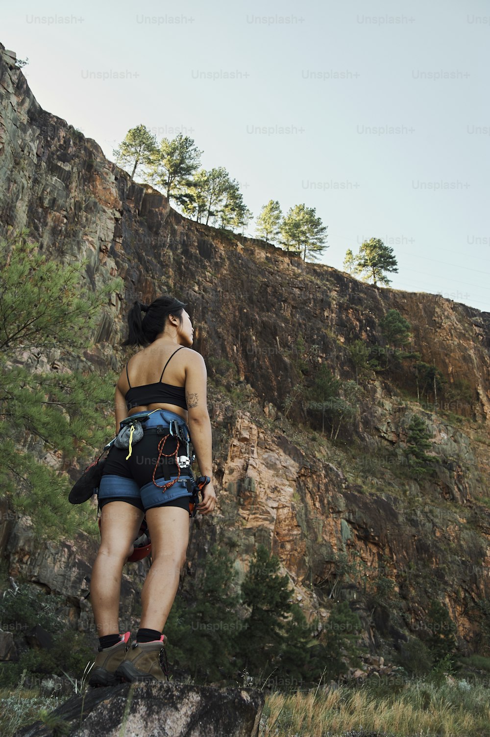 uma mulher em pé no topo de uma rocha ao lado de uma floresta