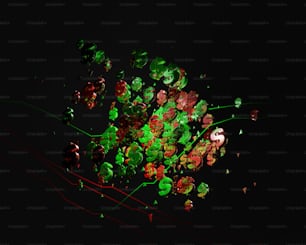 a bunch of green and red flowers on a black background