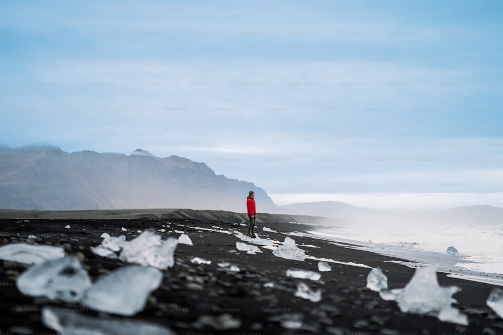 Eine Person in einer roten Jacke steht an einem schwarzen Strand