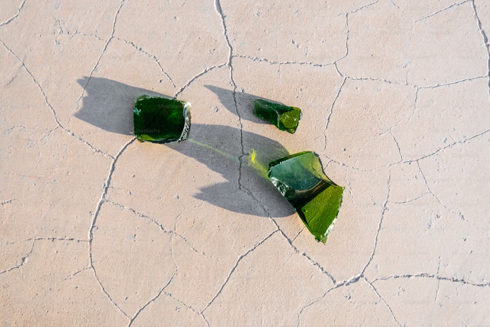 a couple of green plants sitting on top of a cement ground