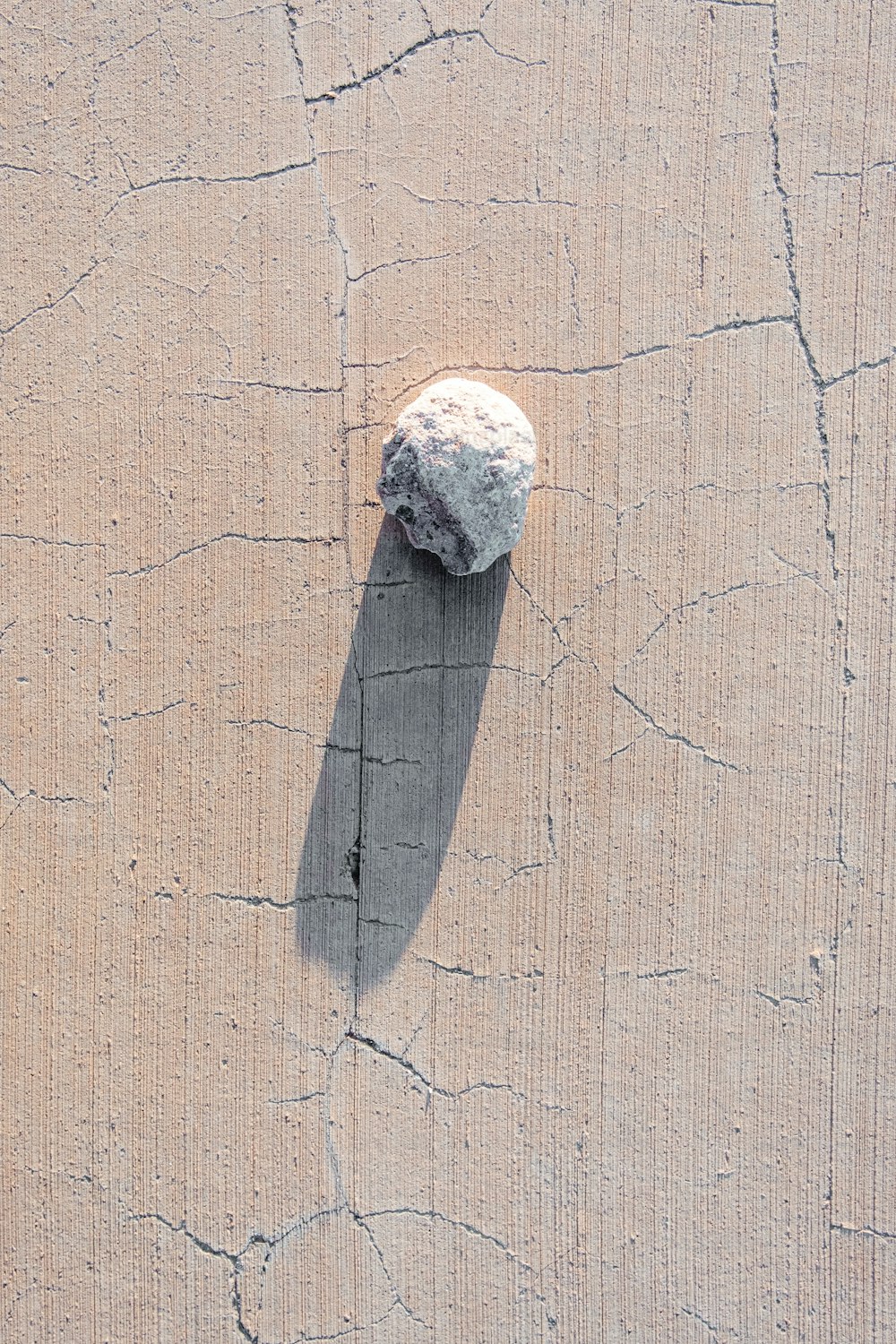 uma rocha sentada em cima de uma laje de cimento