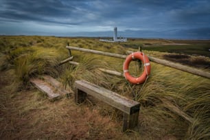 a life preserver and a life preserver on a beach