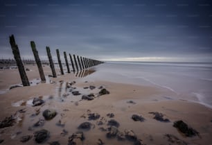 砂浜の上に座っている木製の柱の列