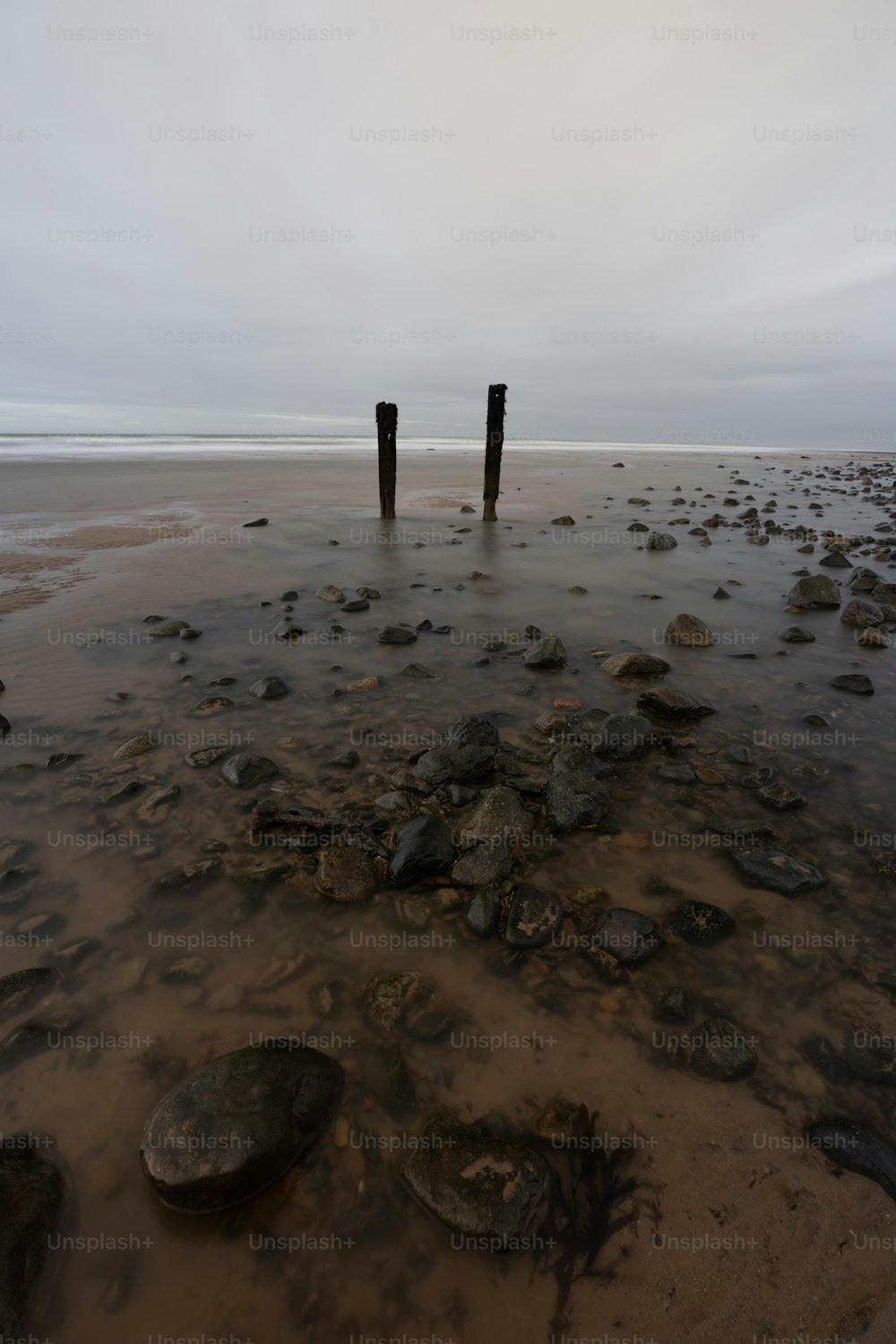 a couple of poles sticking out of the water