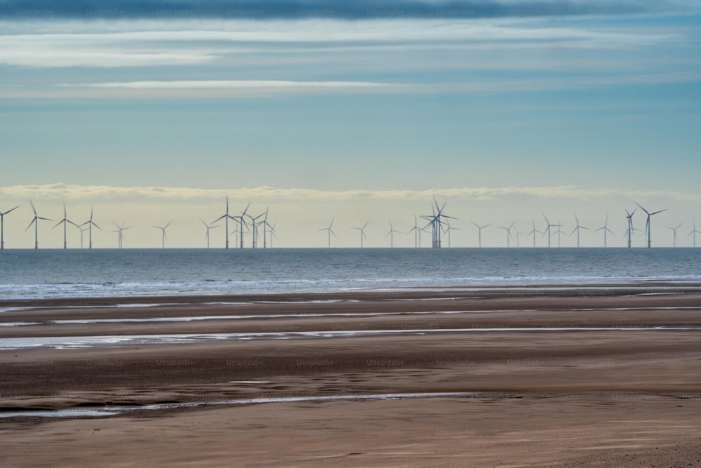 um grupo de moinhos de vento à distância em uma praia