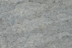Una vista de cerca de un muro de piedra