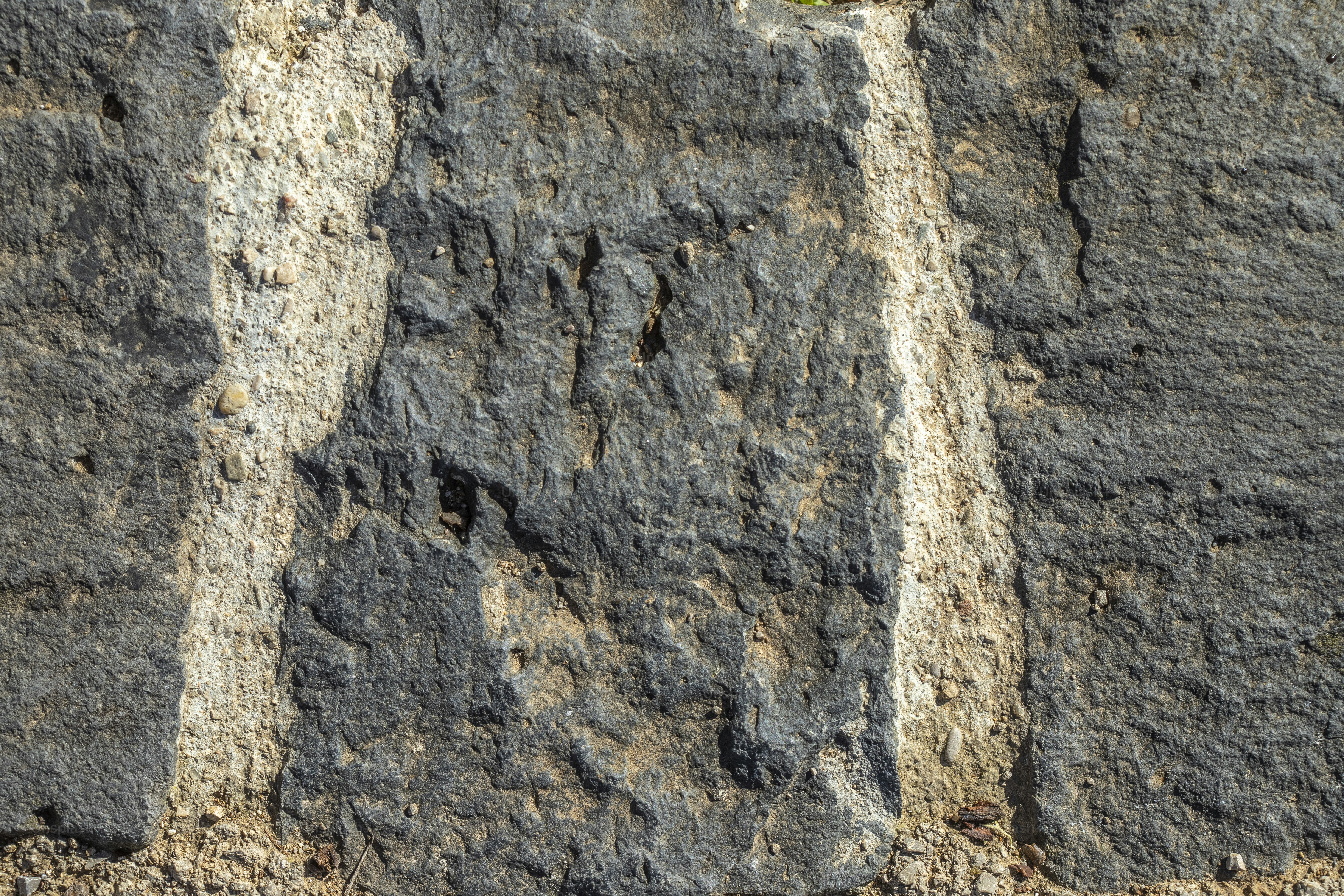 a bird is perched on a rock wall