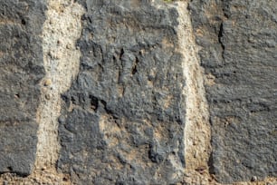 a bird is perched on a rock wall