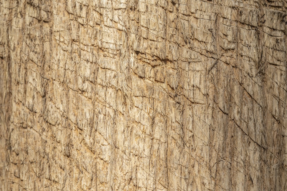 Una vista ravvicinata di una trama di legno