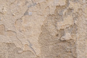 a close up of a wall with a bird on it