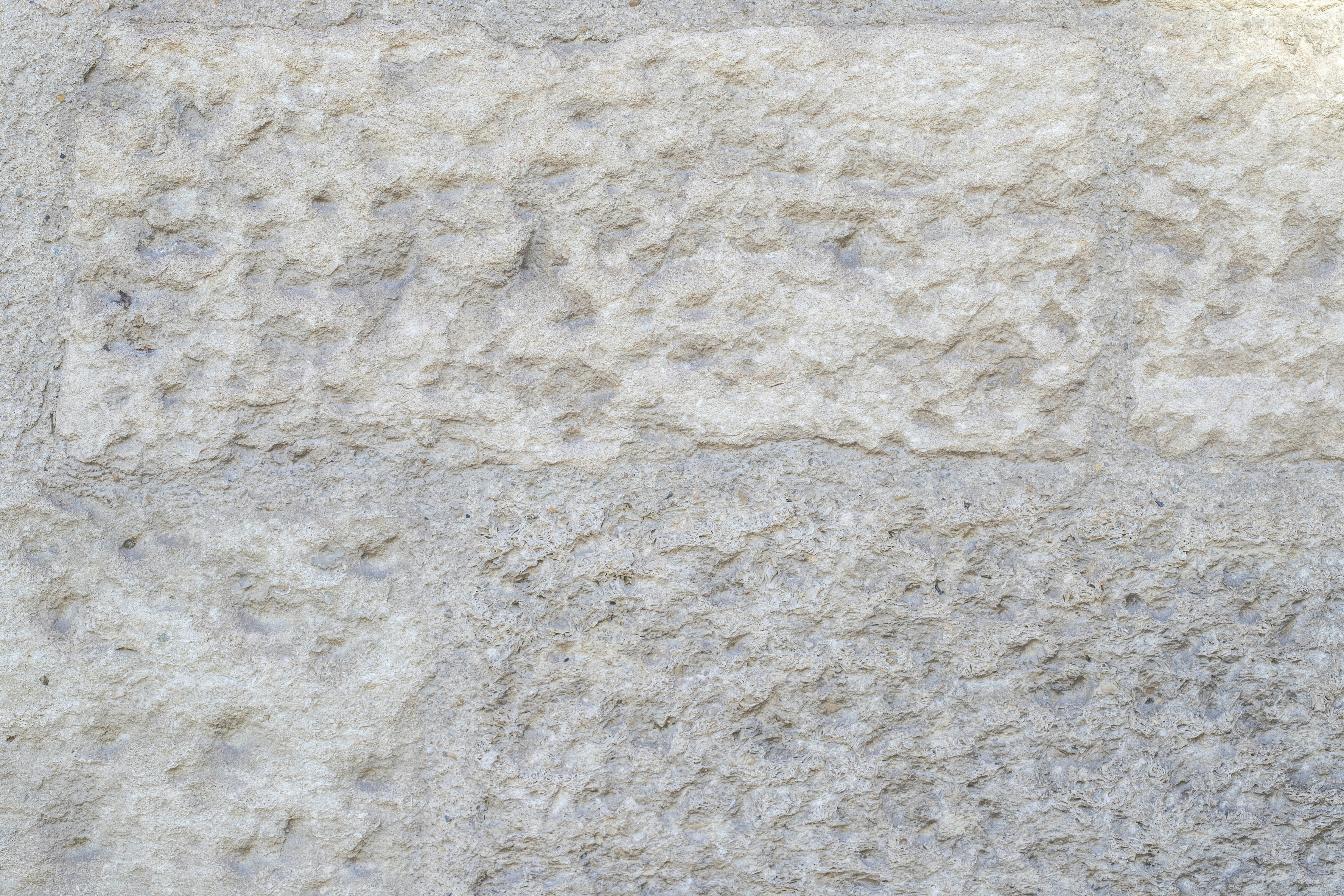 a close up of a bird on a stone wall