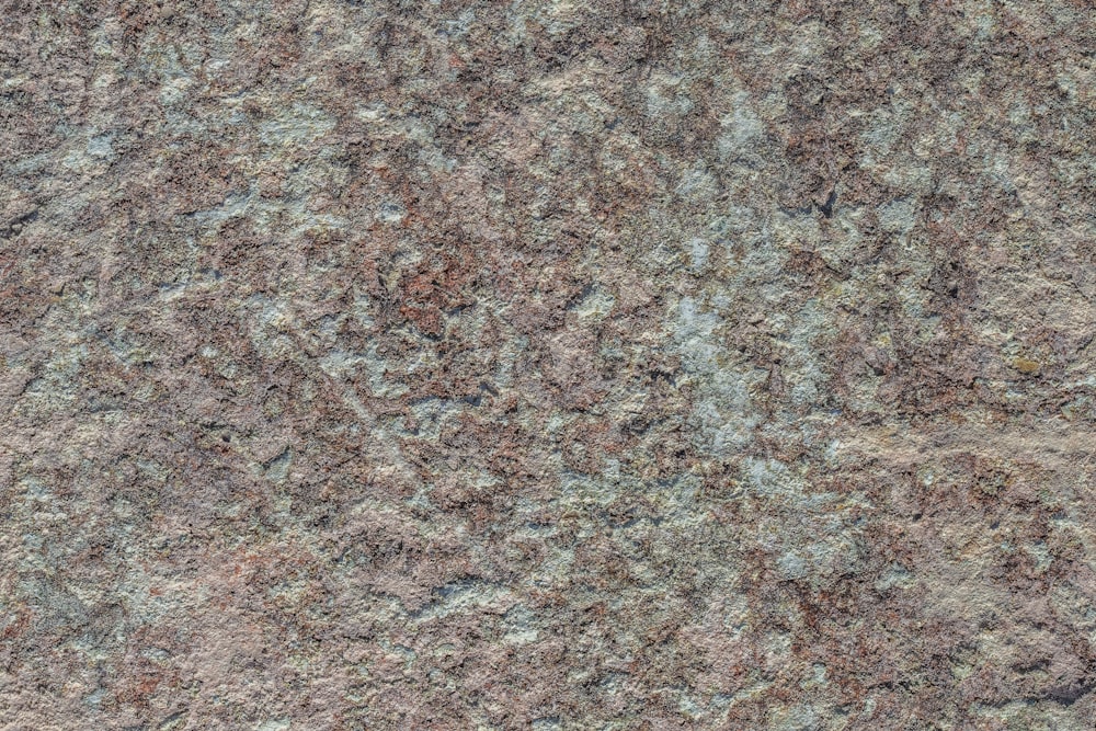 Gros plan d’une surface de pierre avec un motif brun et bleu