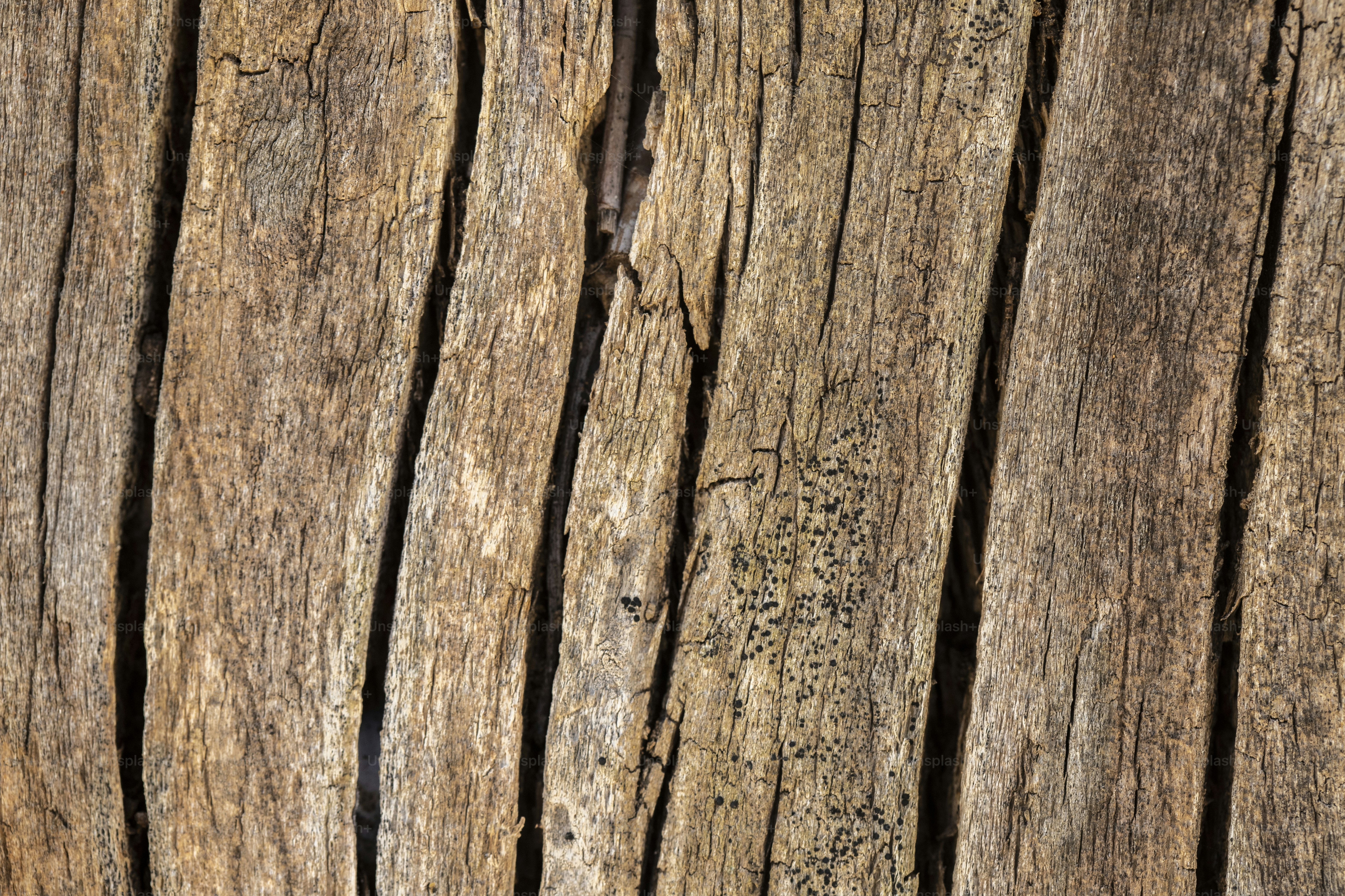 premium_photo-1675526112779-9181f2559894?ixid=M3wxMjA3fDB8MXxzZWFyY2h8MTN8fCVEMCVCNCVEMCVCNSVEMSU4MCVEMCVCNSVEMCVCMiVEMSU4RiVEMCVCRCVEMCVCRCVEMSU4QiVEMCVCOSUyMCVEMCVCRCVEMCVCMCVEMCVCRiVEMCVCRSVEMCVCQiVEMSU4QyVEMCVCRCVEMSU4QiVEMCVCOSUyMCVEMCVCRiVEMCVCQiVEMCVCOCVEMCVCRCVEMSU4MiVEMSU4MyVEMSU4MSUyMCVEMCVCMiUyMCVEMCVCQyVEMCVCRSVEMSU4MSVEMCVCQSVEMCVCMiVEMCVCNXxlbnwwfHx8fDE3NDQ3MjQxMTB8MA\u0026ixlib=rb-4.0.3