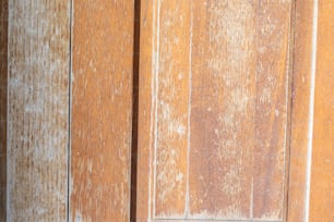 Un gatto è seduto su una porta di legno