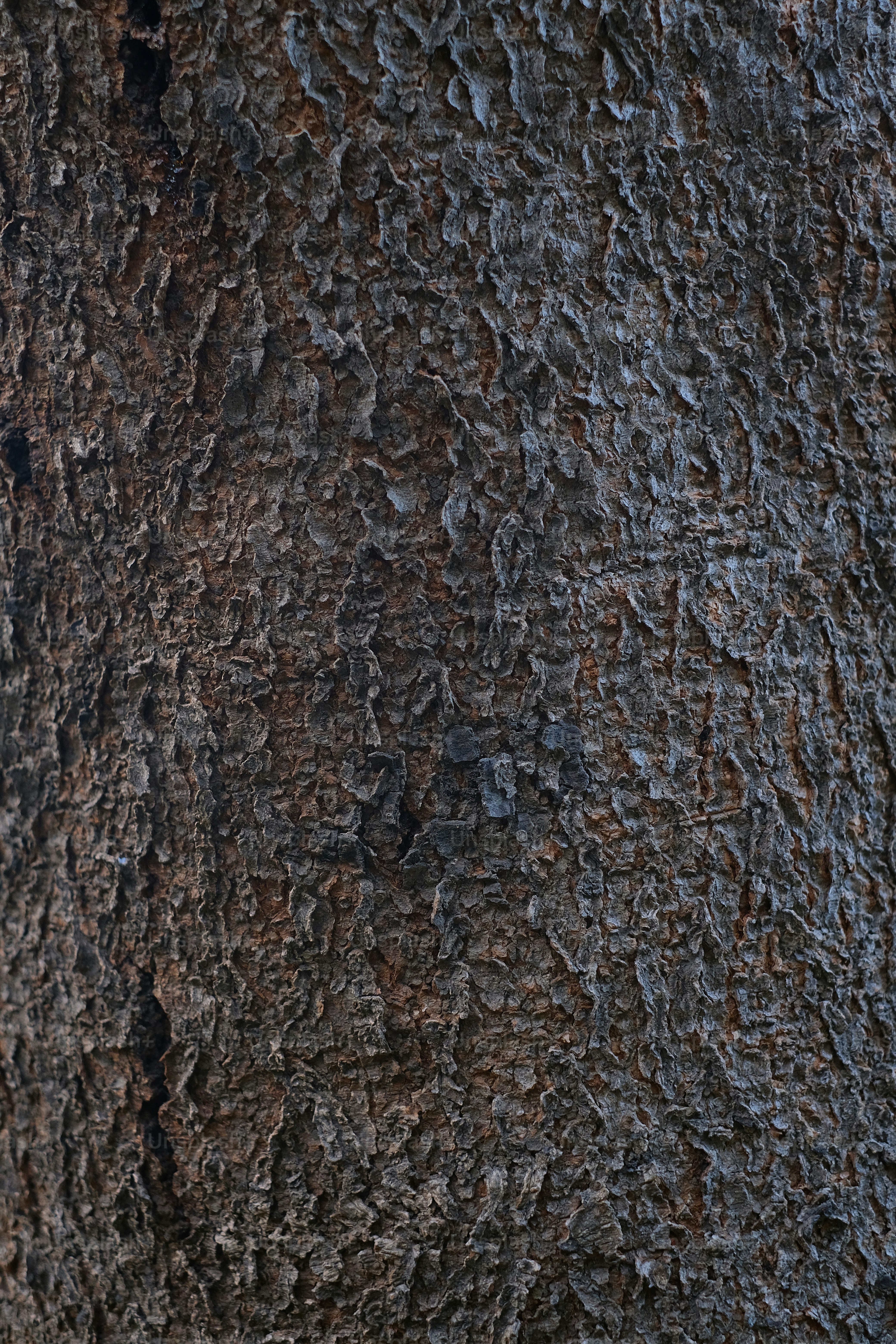 a close up of a tree trunk with a bird perched on it