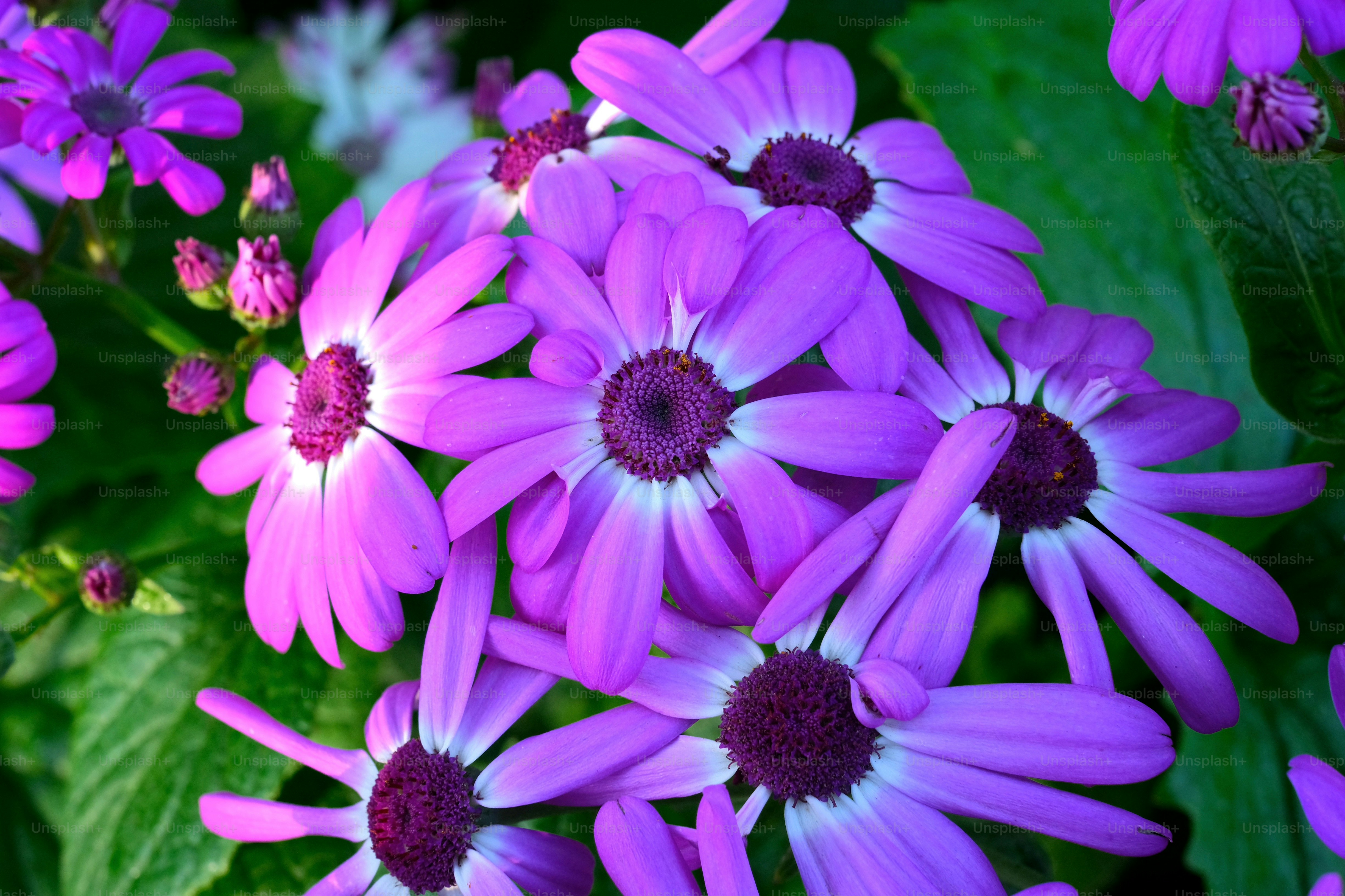 Bouquet of Pink Tulip and Lavender Flowers, Personalized Floral  Arrangement, Handmade Crocheted Flowers, Long-lasting Everlasting Flower  Gift - Etsy, image size:3000x2000