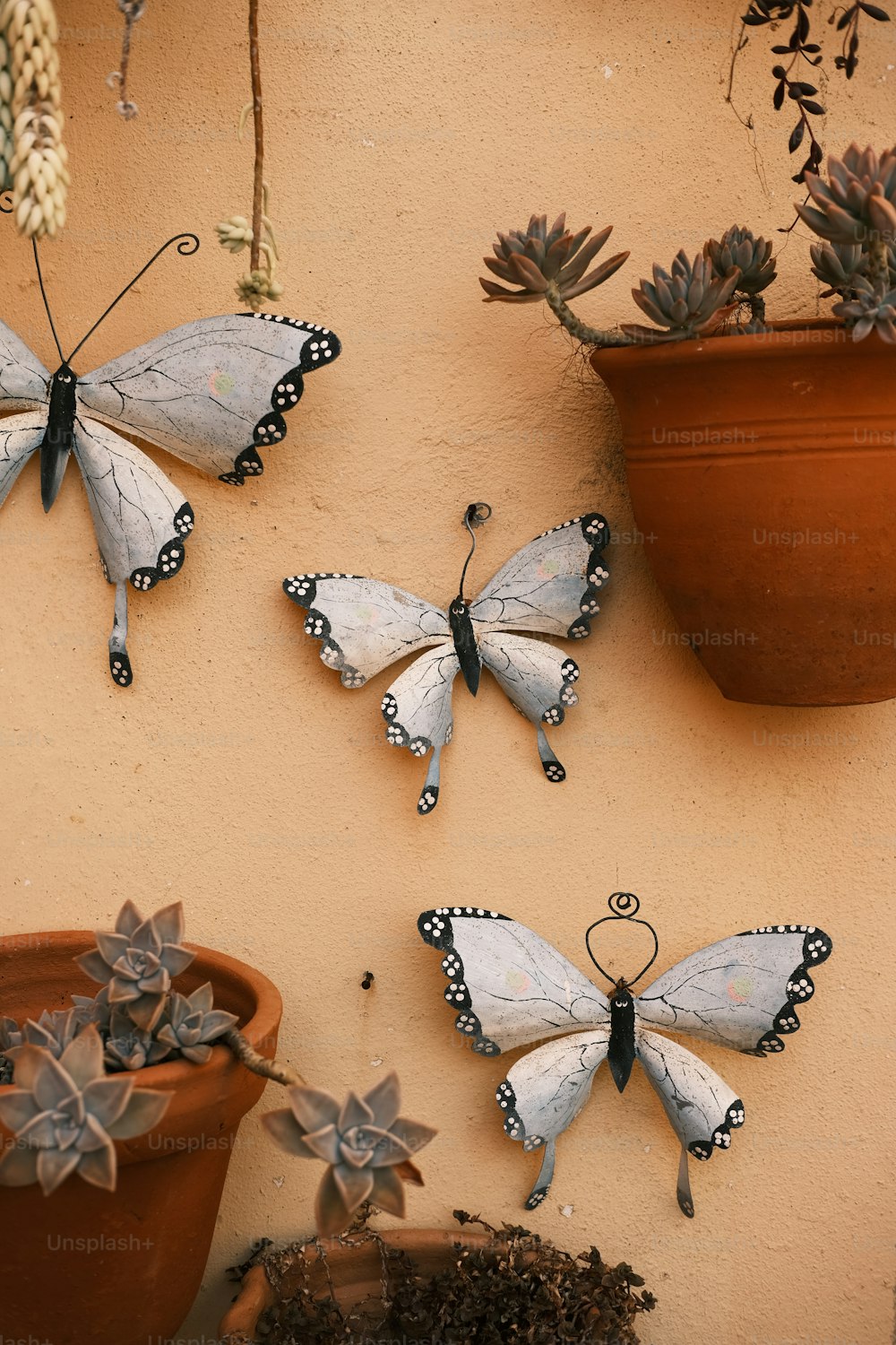 Tre farfalle sono appese a un muro accanto a una pianta in vaso