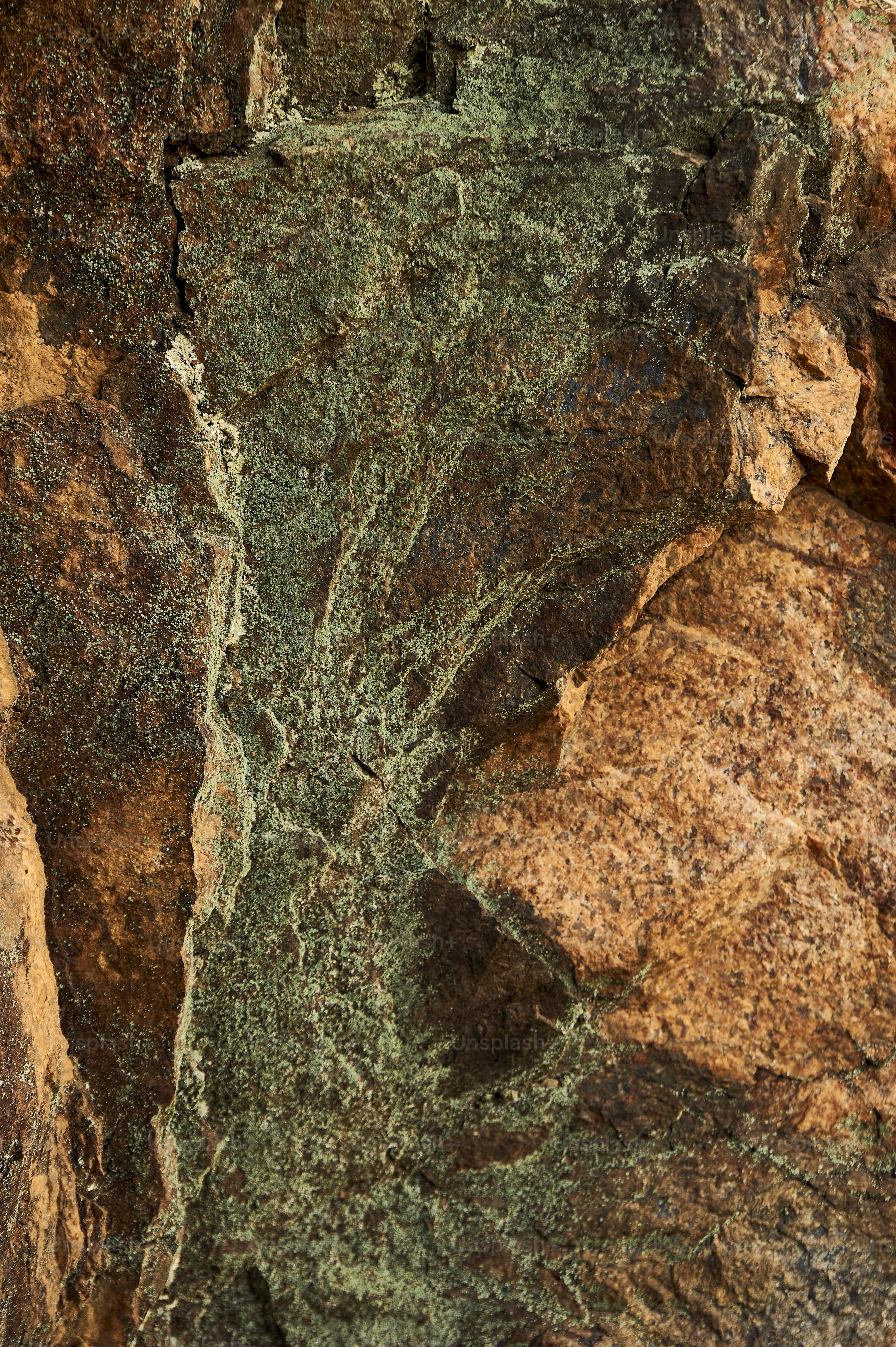 a close up of a rock with green moss growing on it