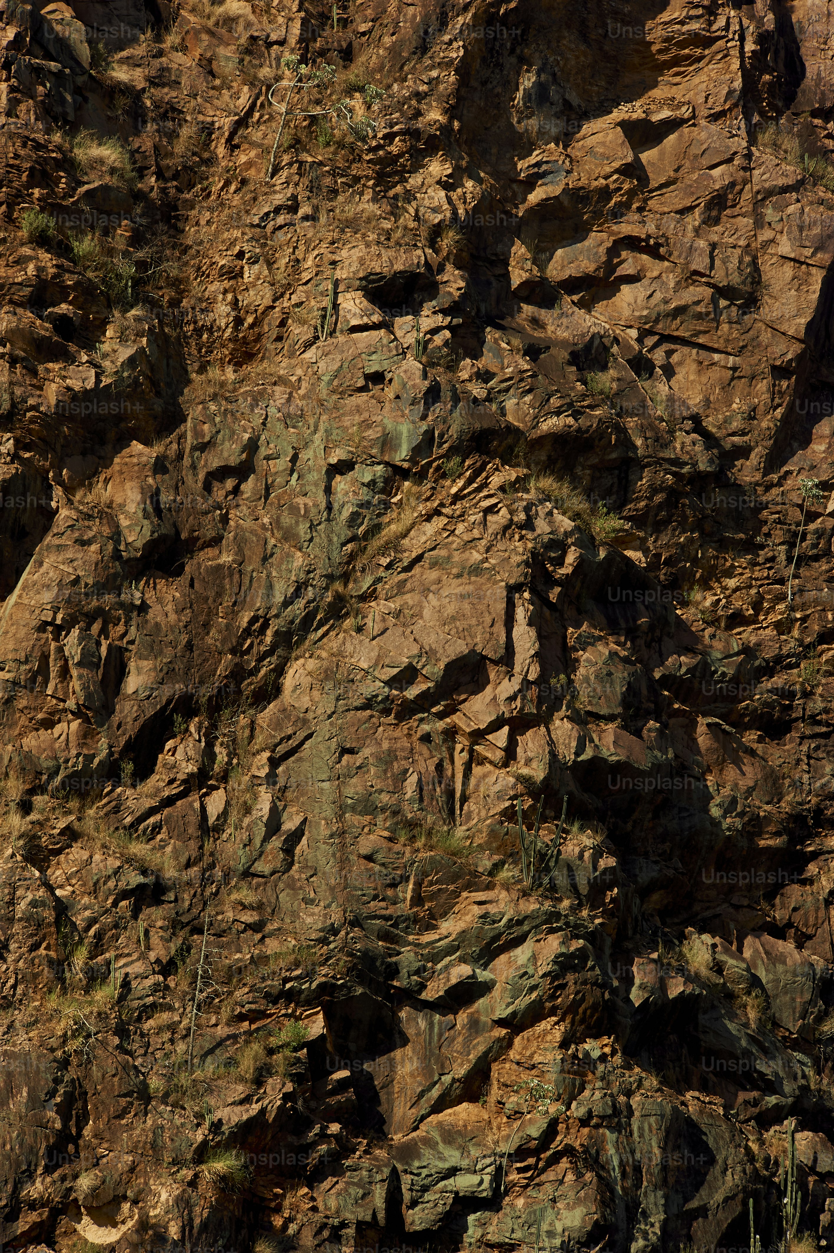 a mountain side with a bird perched on top of it