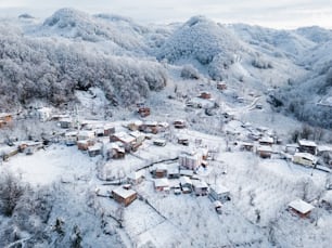 an aerial view of a village in the mountains