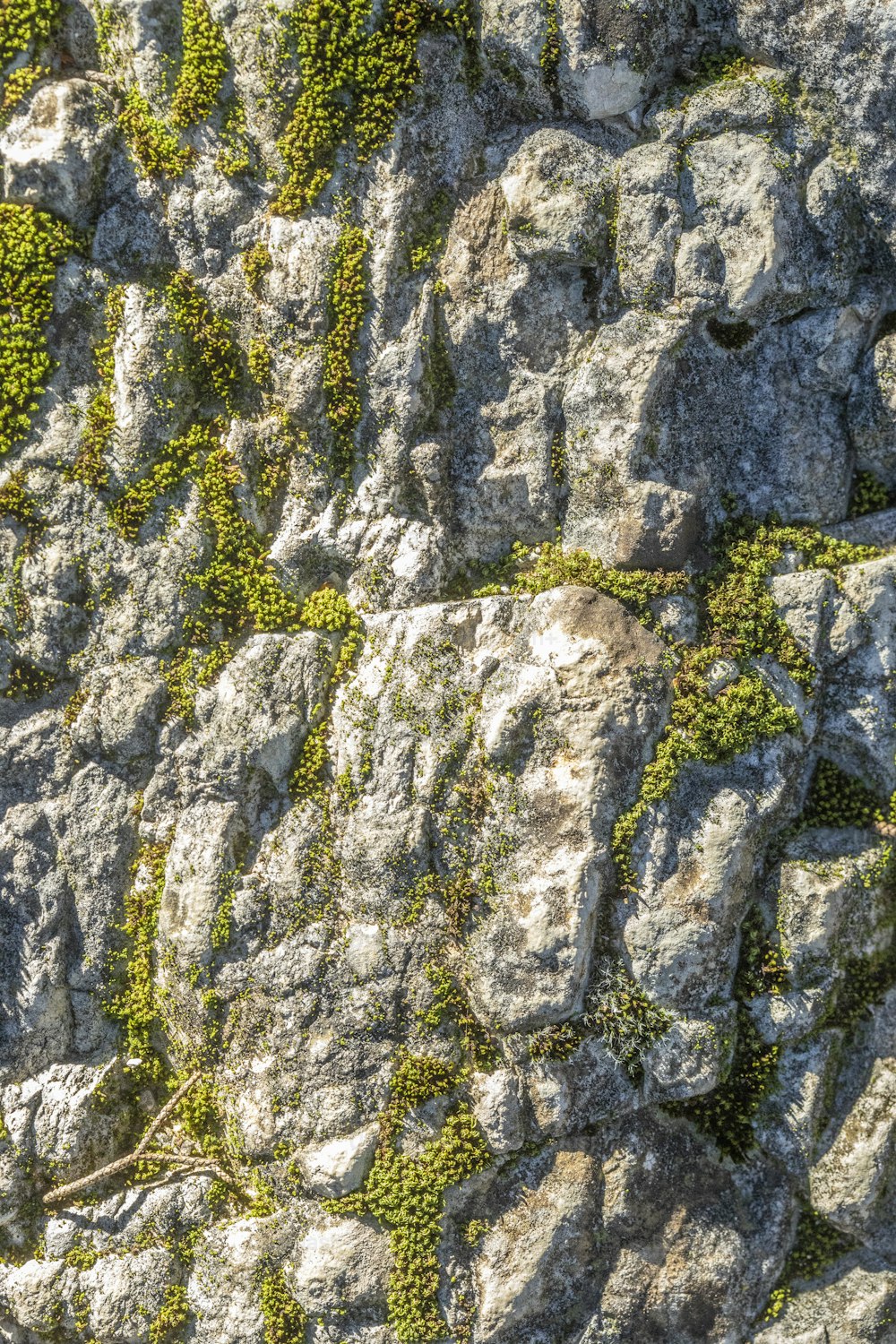 a close up of a rock wall with green moss growing on it