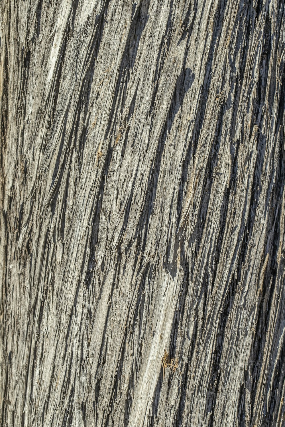 Foto Valla de madera gris con pintura blanca – Imagen Gris gratis en  Unsplash