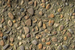rochas e cascalho estão dispostos no chão