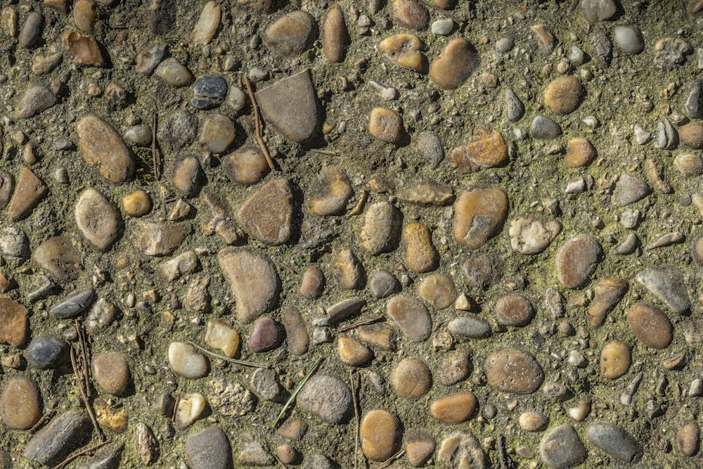 rochas e cascalho estão dispostos no chão