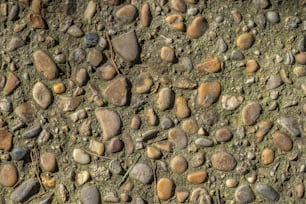 rocks and gravel are arranged on the ground