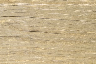 um pedaço de madeira que foi cortado ao meio
