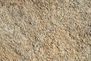 Una vista ravvicinata di una parete rocciosa