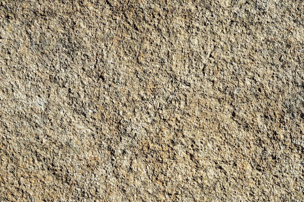 Una vista de cerca de una pared de roca