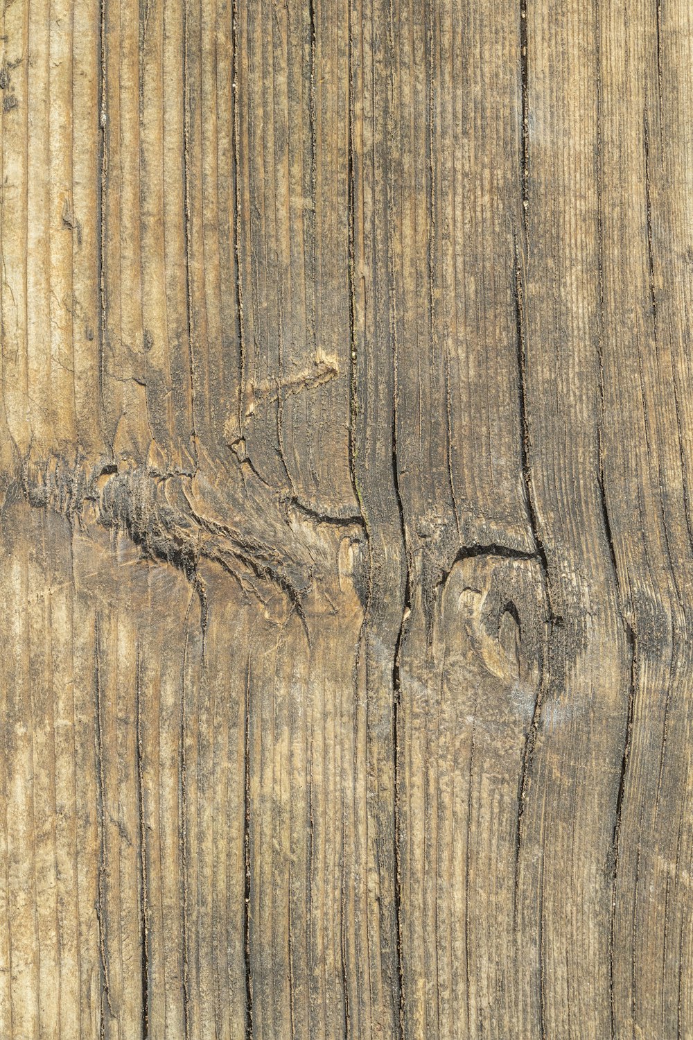 un primo piano di un pezzo di legno