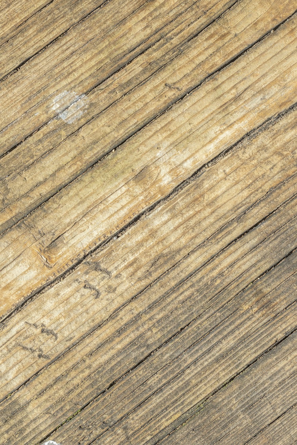 une personne faisant de la planche à roulettes sur une surface en bois