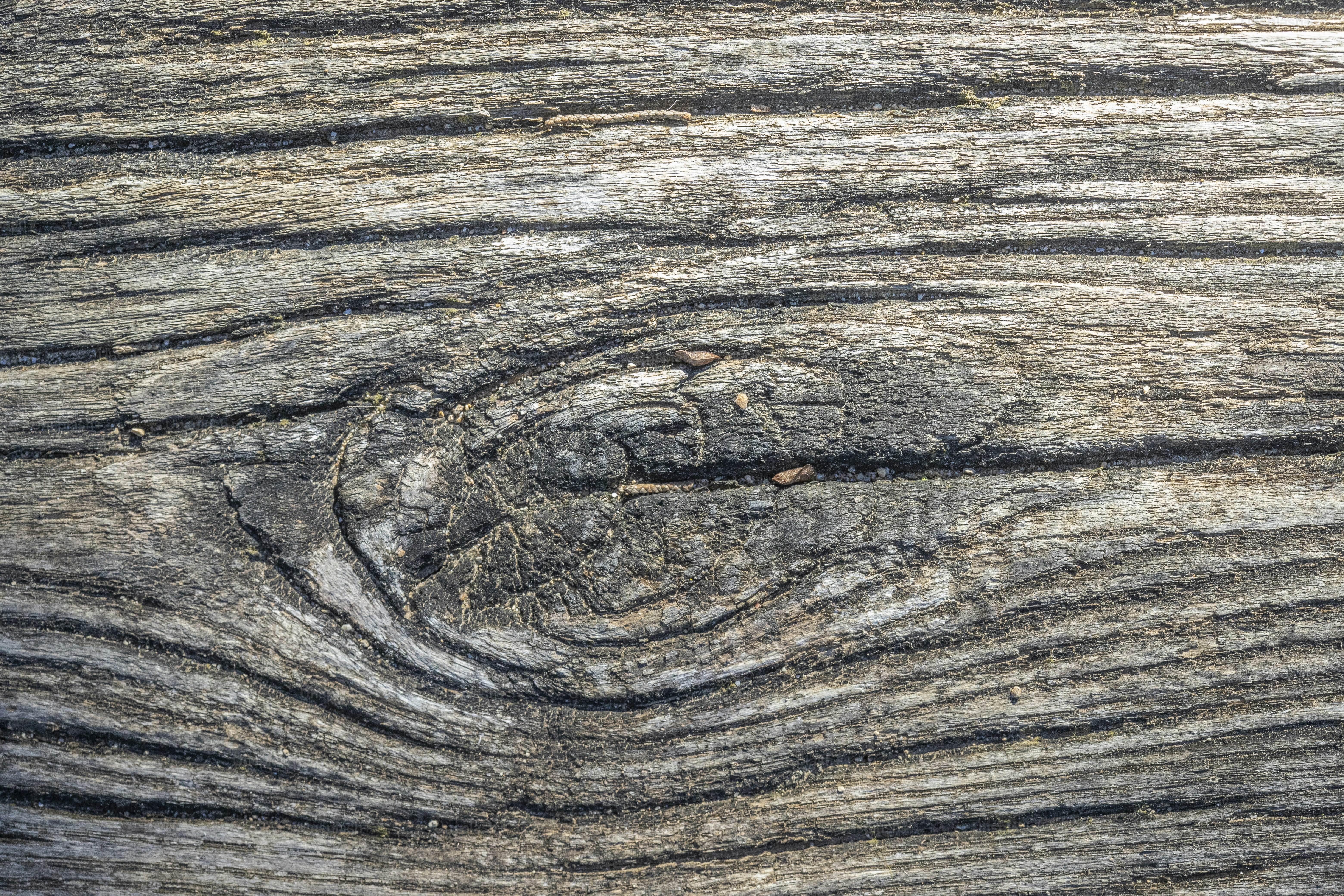 a piece of wood that has been cut in half
