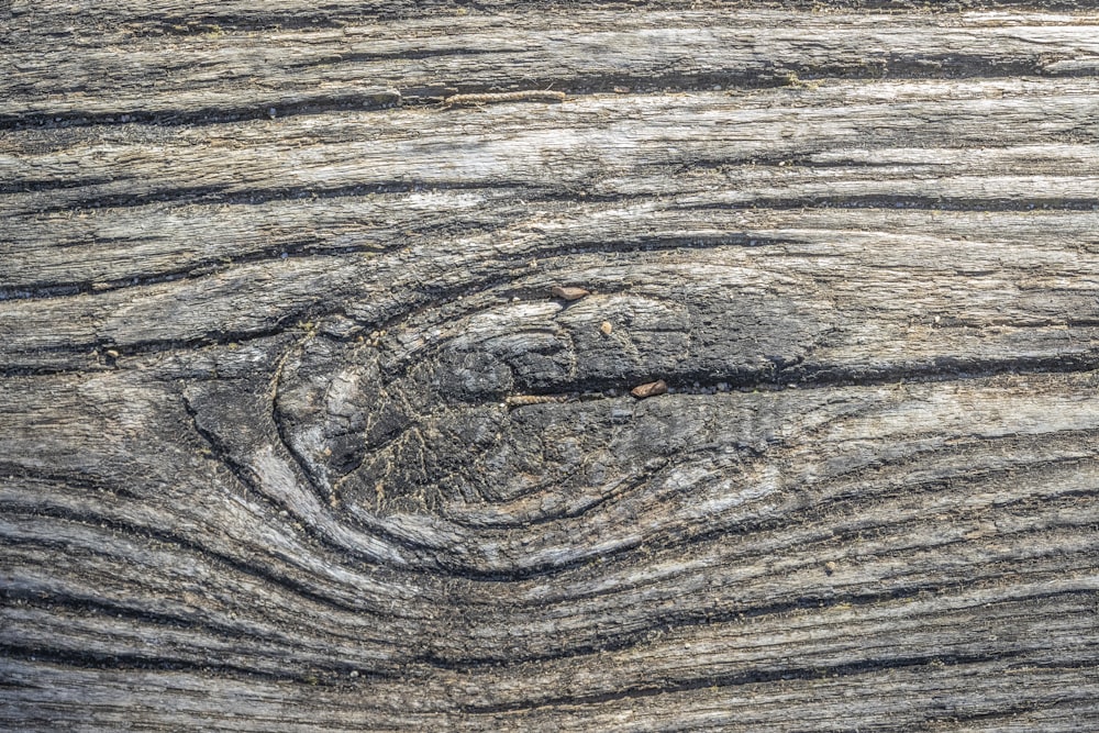 a piece of wood that has been cut in half