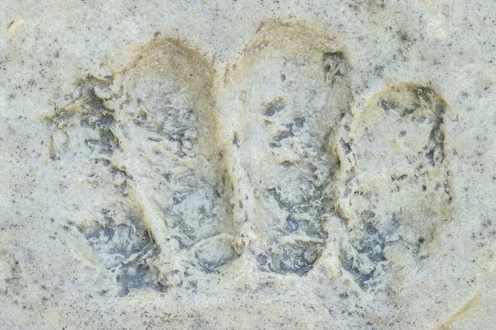 um close up de duas pegadas na areia