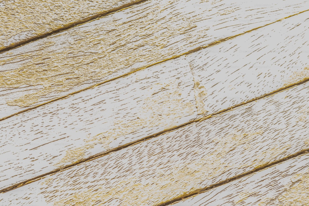 a bird is perched on a wooden plank