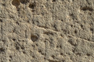 un gros plan d’un rocher avec de petits trous