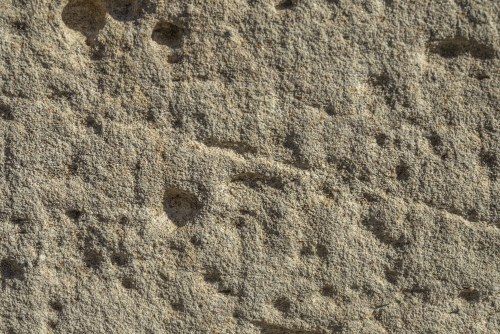 a close up of a rock with small holes in it