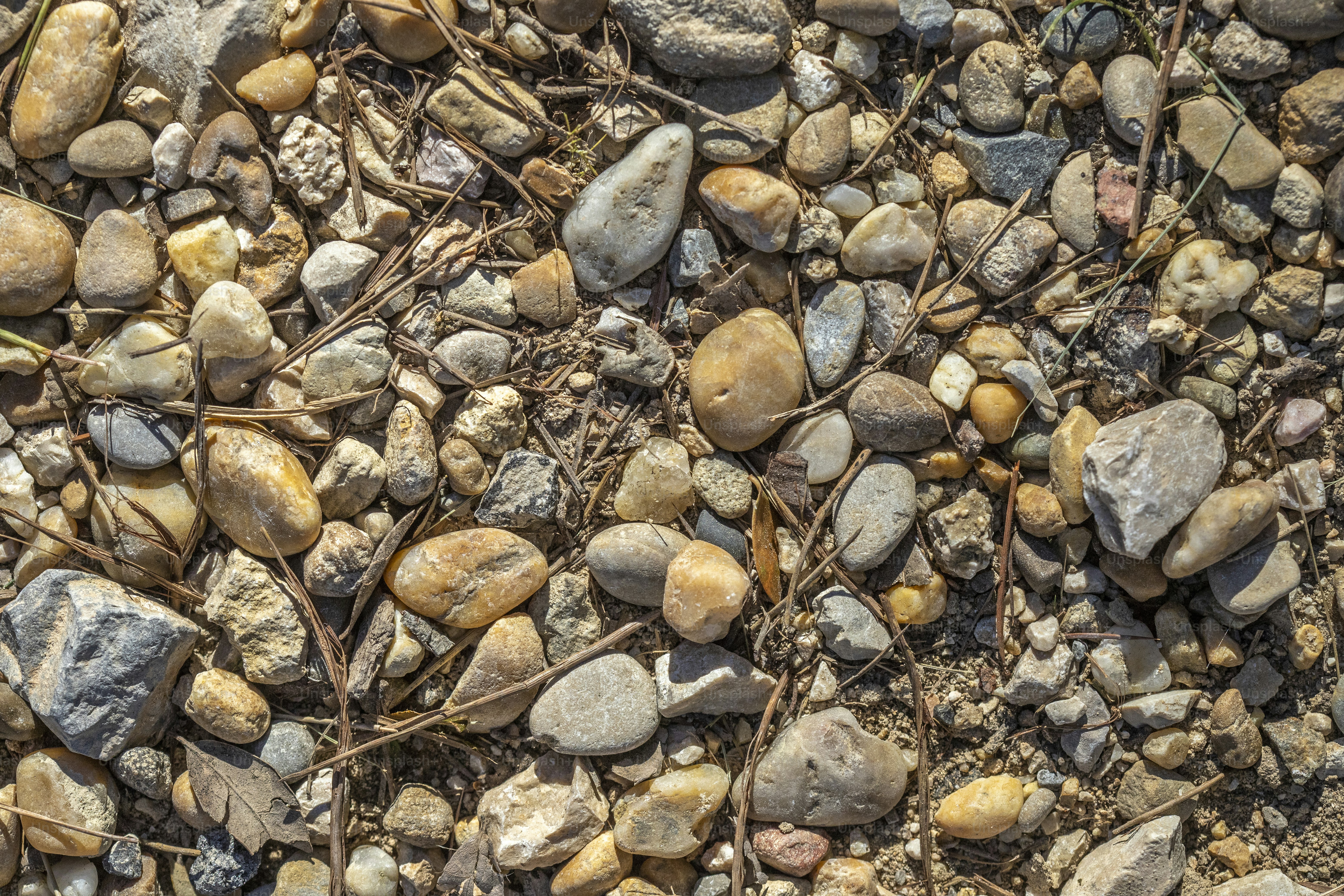 A bunch of rocks and grass on the ground photo – Backgrounds Image on ...